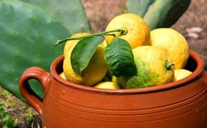 msm vitamin c izkušnje